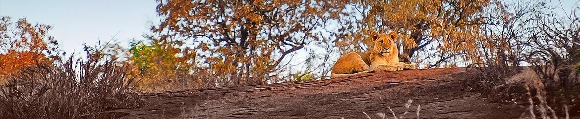 North West Accommodation footer banner