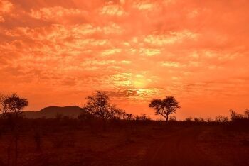 African sunset. Madikwe Game Reserve, North West